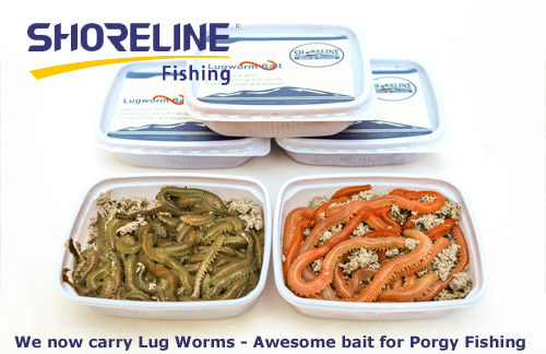 LUG WORMS