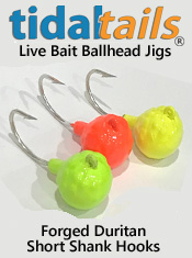 Blackfish Jigs