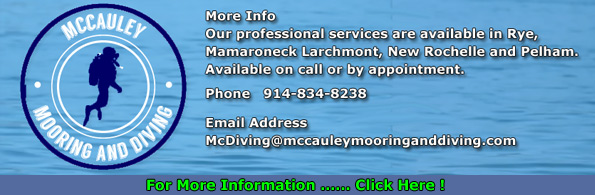 Dive Services