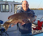 Big Blackfish Long Island Sound