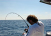 Fish On