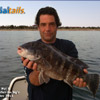 Blackfish_Jigs