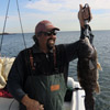 Blackfish_Jigs