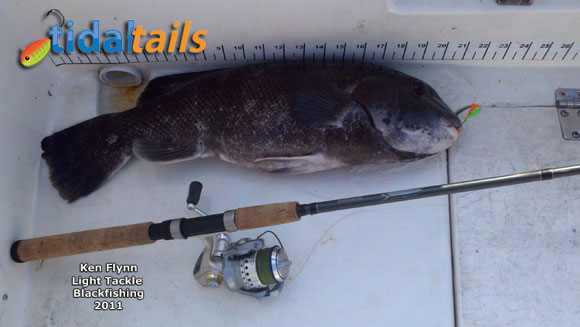 Blackfish Jigs