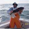 Blackfish_Jigs