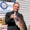 Blackfish_Jigs