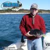 Blackfish_Jigs