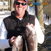 Blackfish_Jigs