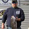 Blackfish_Jigs