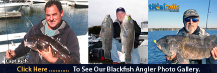 Blackfish Jigs
