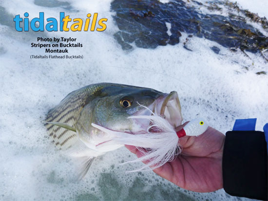 High Quality Saltwater Bucktails jigs, lures and fishing tackle for the  serious angler, specializing in hand tied saltwater bucktail jigs for striped  bass