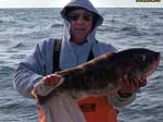 Blackfish Jigs