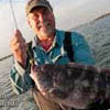 Blackfish Jigs