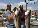 Blackfish Jigs