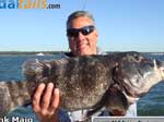 Blackfish Jigs