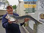 Blackfish Jigs