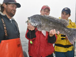 Blackfish Jigs