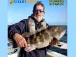 Blackfish Jigs