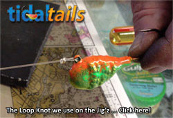 Tying a loop knot