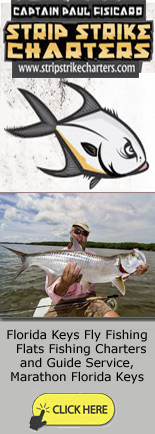 High Quality Saltwater Bucktails jigs, lures and fishing High Quality Saltwater Bucktails jigs, lures and fishing