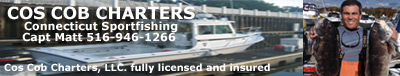Cos Cob Charters